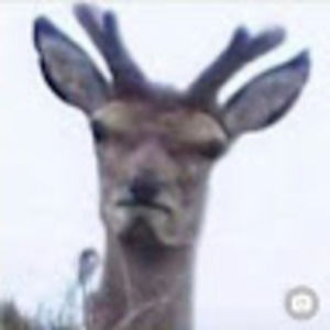 Meet your Posher, Ericka